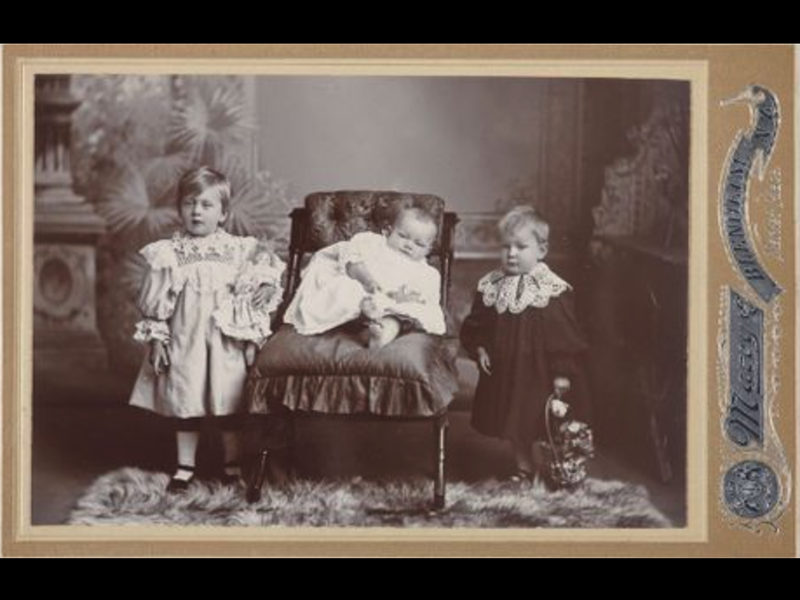 Three children on a fur, circa 1890-1915, Blenheim, by William H. Macey. Purchased 2014. Te Papa (O.041065) An old photo of a family portrait in a studio