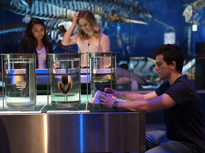 Visitors experience Te Papa, 2015. Photo by Michael Hall. Te Papa (94207) Three people looking at jars of creatures in a museum