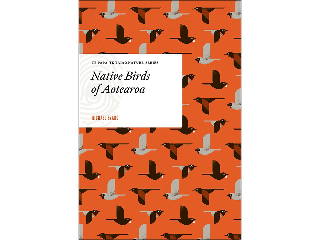 Cover for Native Birds of Aotearoa A book cover with a lot of stylised birds on it