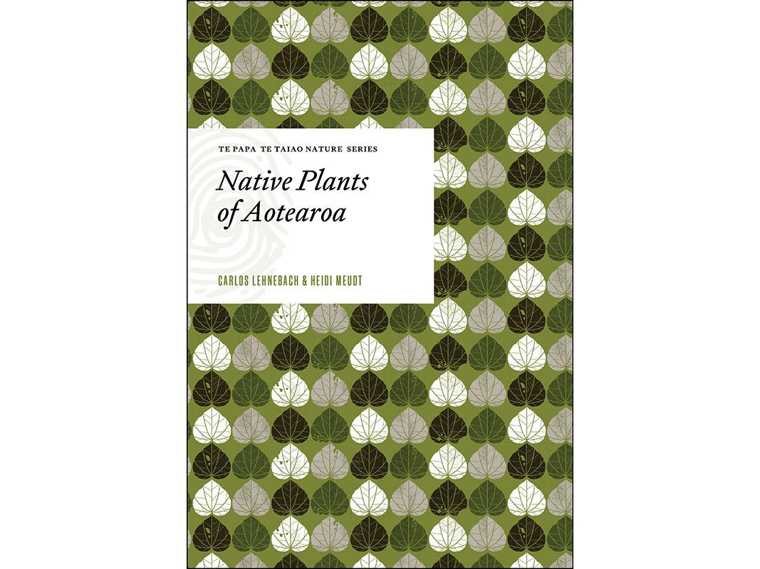 Book cover for Te Papa Te Taiao Nature Series: Native Plants of Aotearoa A book cover with stylised plants on it