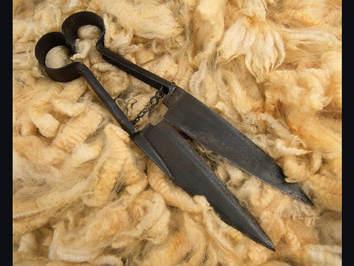 Hand Shears, 1800s, maker unknown. Gift of an anonymous donor, date unknown. CC BY-NC-ND 4.0. Te Papa (T000227) A pair of shears lying on sheep's wool