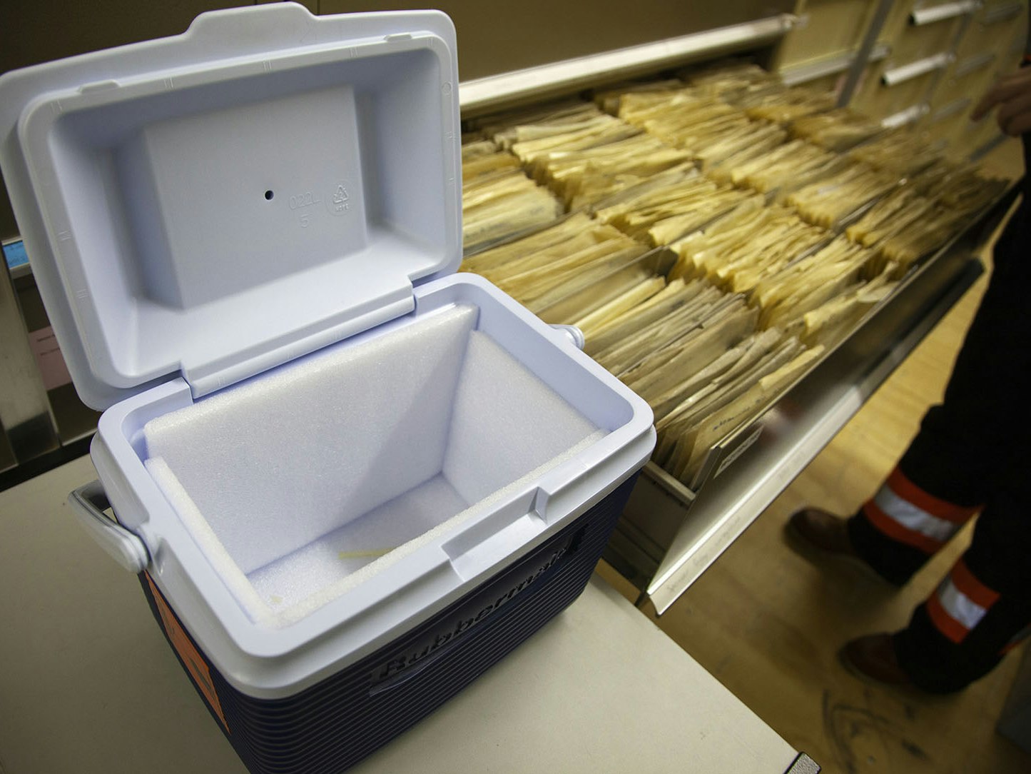 A chilly bin with extra padding used to acclimatise and transport negatives to and from the coolstore. Photo by Ashleigh James-McKenna, Te Papa A chilly bin and files in a drawer
