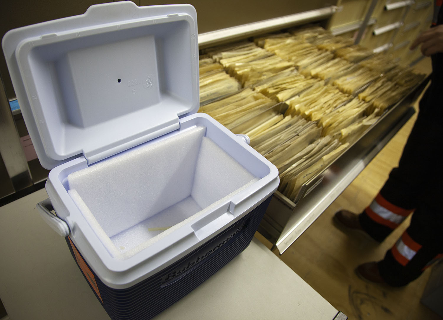 A chilly bin and files in a drawer