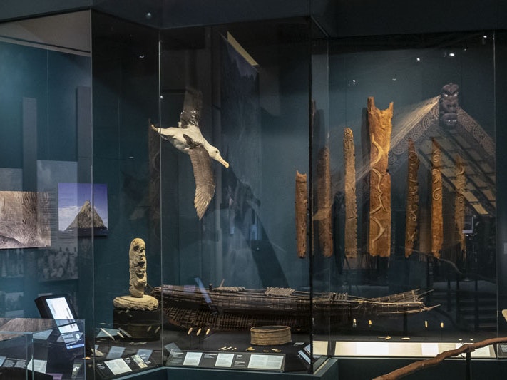 General view of Tchakat Henu: Me Rongo | Moriori: People of Peace, 2022. Photo by Maarten Holl. Te Papa Display case showing a taxidermy seagull suspended from its roof alongside a number of carved pou, wooden poles