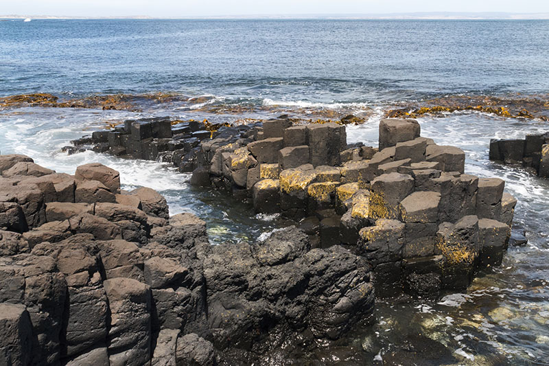 Rocks in the shape of short columns bunched together on the coast of Rēkohu | the Chatham Islands with part of the island visible in the distance