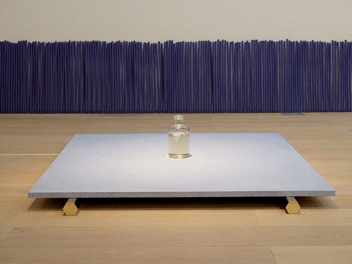 Dane Mitchell, Iris, Iris, Iris (detail), 2017. Installation view of MAM Project 024: Dane Mitchell, Mori Art Museum, Tokyo, 2017. Photo courtesy of the artist dane-mitchell-iris-iris-iris-800x533.jpg