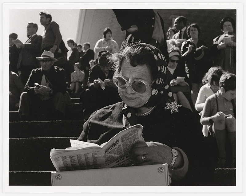 A woman in a spotted scarf is reading the racing pages at a horse racecourse