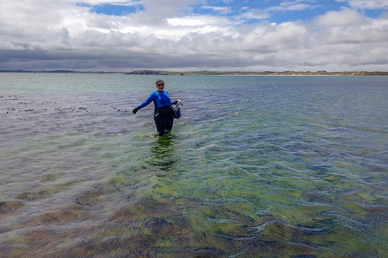 A woman standing in the sea with water up to her knees.