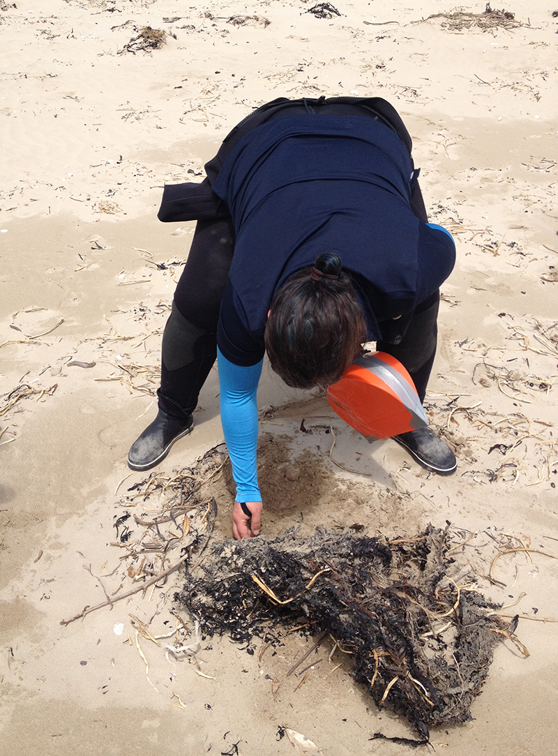 A woman looking through sand on a beach.