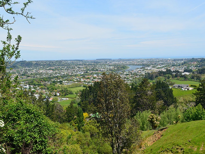 View of Whanganui, 2020. Photo by Jared Pellow / Unsplash View from up high looking down over the town of Whanganui, showing the river, lots of green fields, and houses