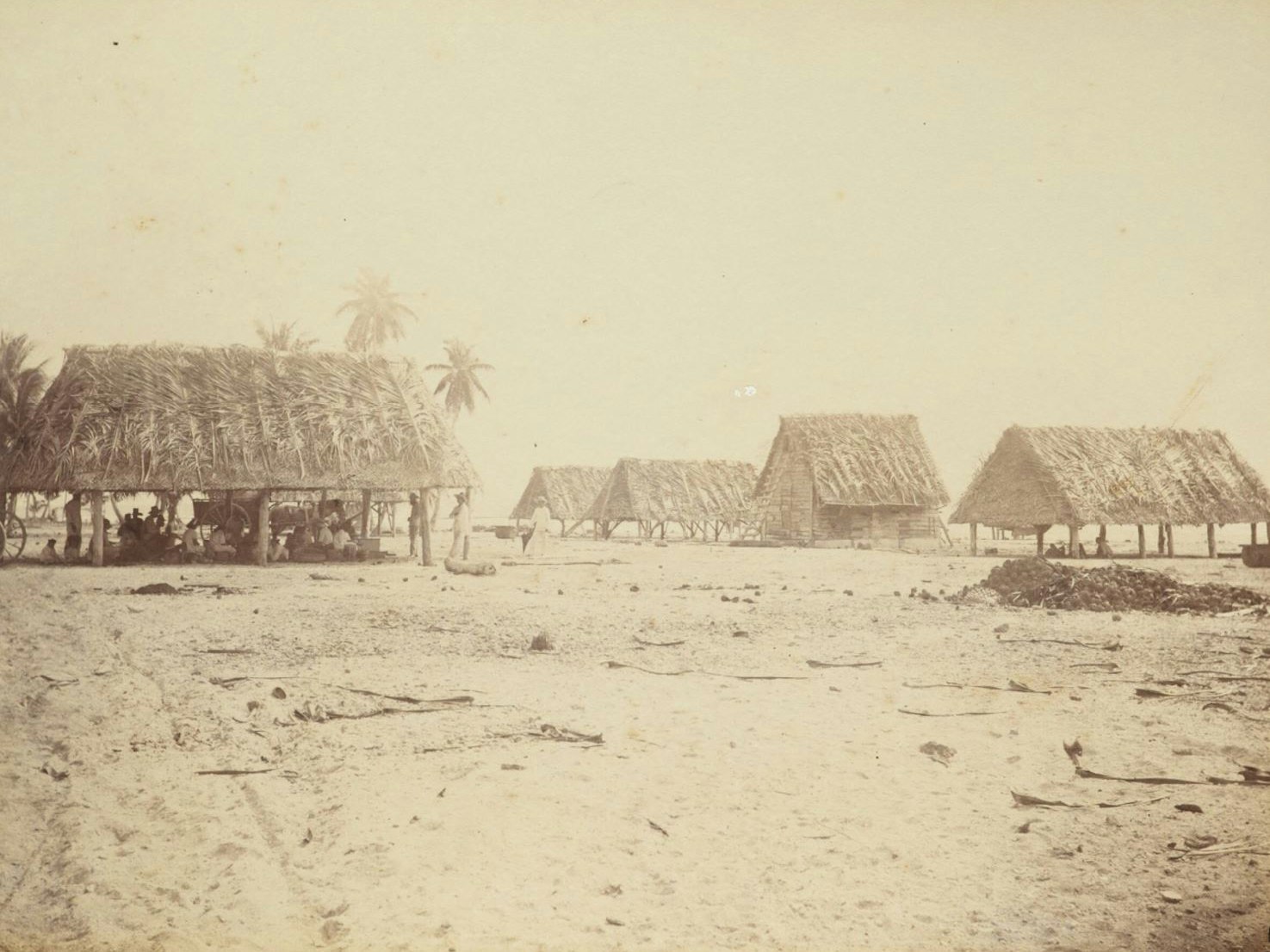 Copra drying sheds Swains Island. From the album: Views in the Pacific Islands, 1886, Swains Island, by Thomas Andrew. Te Papa (O.037822) Sepia photograph of huts with people sat under them