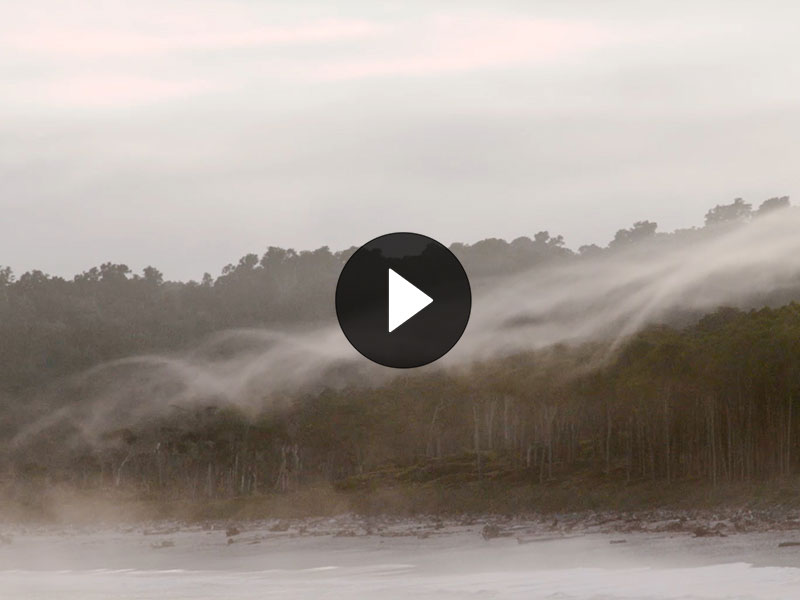 Clouds rolling over trees