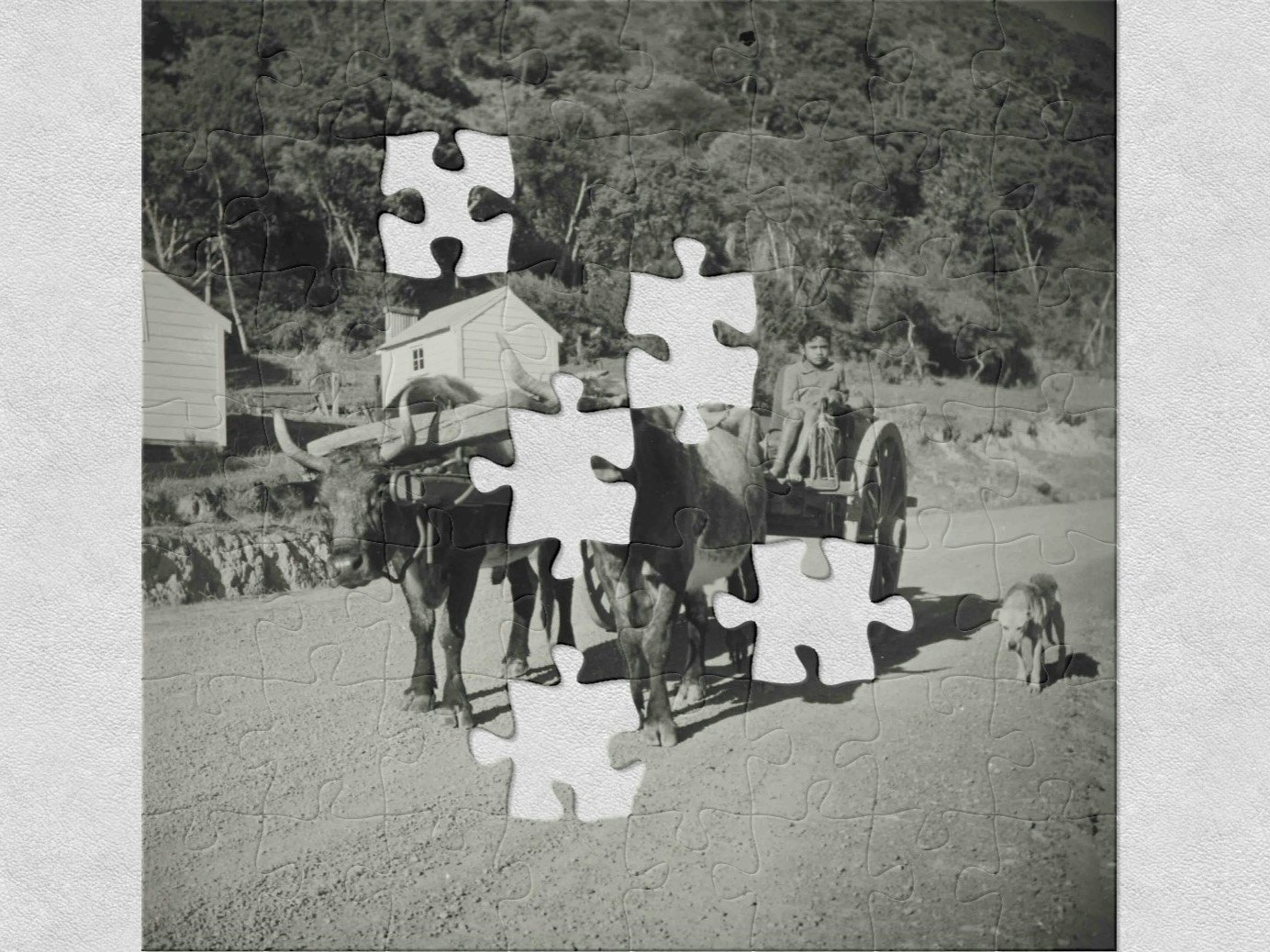 Eric Lee-Johnson, Maori children, East Cape, 1950, purchased 1997 with New Zealand Lottery Grants Board funds. Te Papa (O.006222/02) Oxen driven cart as seen on a dirt and pebble covered country road. The driver and passenger on this cart are both young boys, a dog is in sight on the road to the right and two buildings can be seen in the background at the foot of a tree covered hillsid