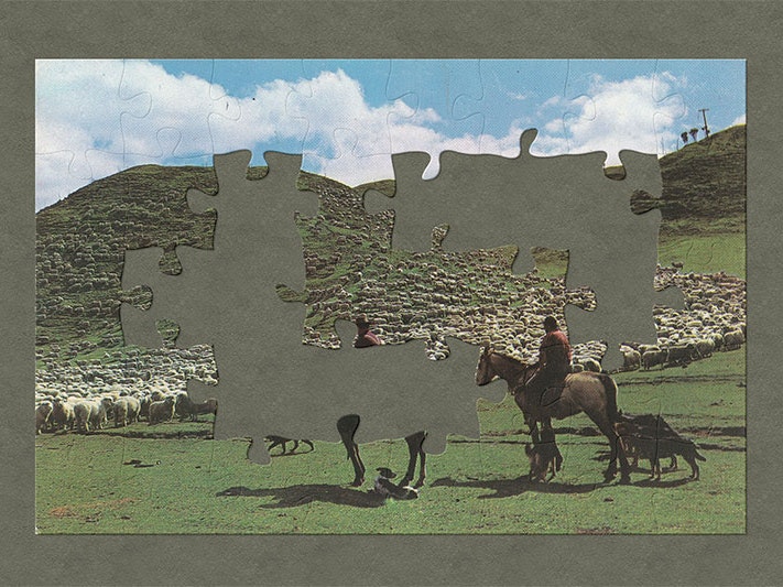 Postcard, ‘A New Zealand sheep muster’, by Gladys Goodall, 1960s, Christchurch. Te Papa (PS.003578) A postcard with a photo of two men on horseback and their dogs rounding up sheep