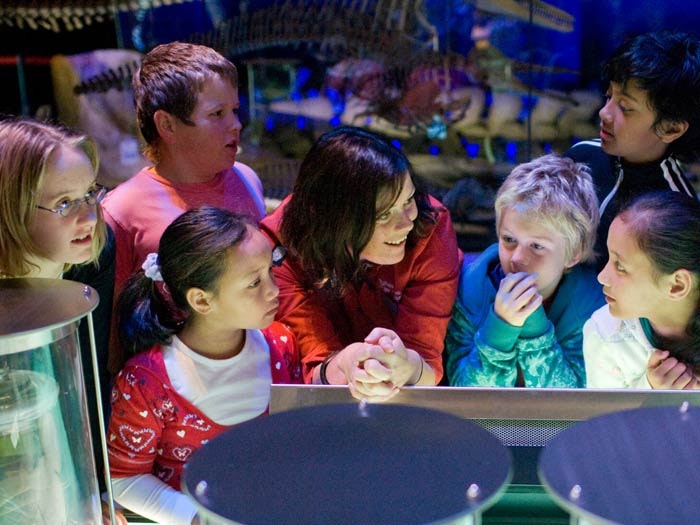 School group in Mountains to Sea. Photograph by Michael Hall. Te Papa School group in Mountains to Sea. Photograph by Michael Hall. Te Papa