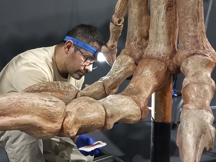 technician_working_on_cast-_med_res_for_prints_up_to_a4_hd_screen_presentation_and_general_use_-_jpg.jpg technician_working_on_cast-_med_res_for_prints_up_to_a4_hd_screen_presentation_and_general_use_-_jpg.jpg