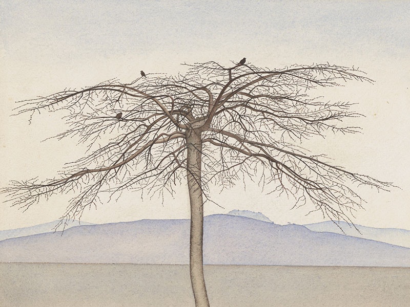 Rita Angus, Tree, 1943, watercolour. Purchased 1998 with New Zealand Lottery Grants Board funds. Te Papa (1998-0028-5) Watercolour painting of an autumnal tree without its leaves. Three birds – perhaps sparrows – sit among the leaves. The tree is isolated in the landscape; hills can be seen in the distance