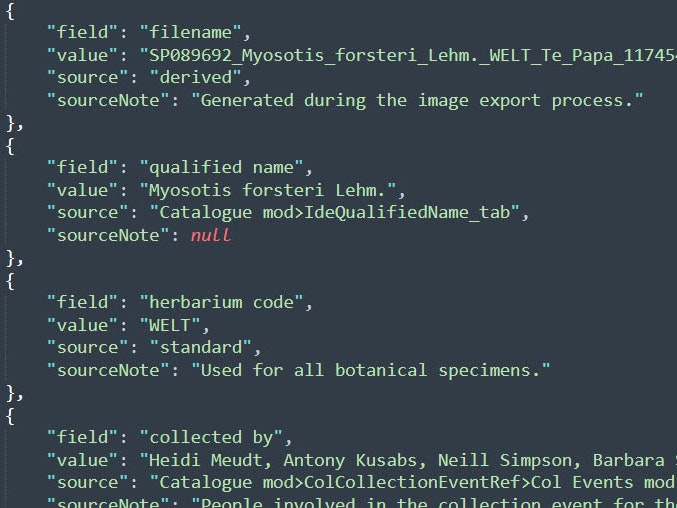 A screenshot of green code text on a dark screen