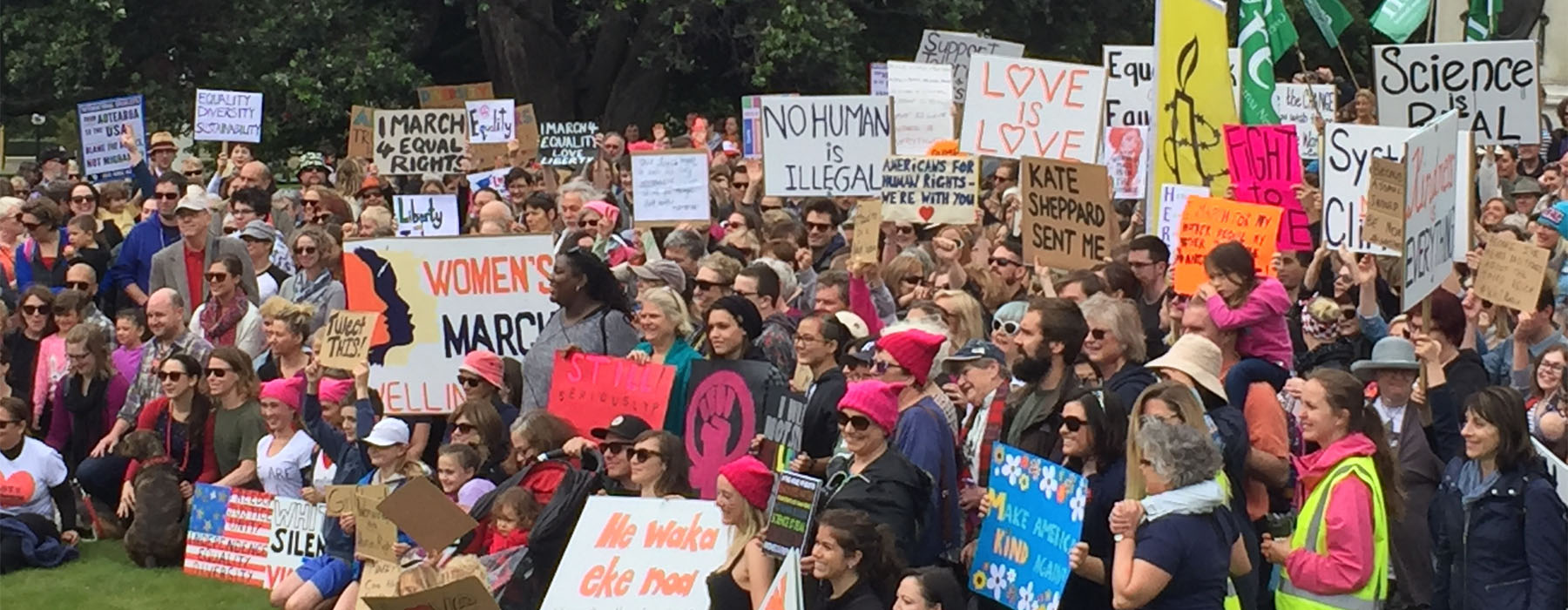 Photo of hundreds of people gathered on Parliament grounds, carrying many protest signs