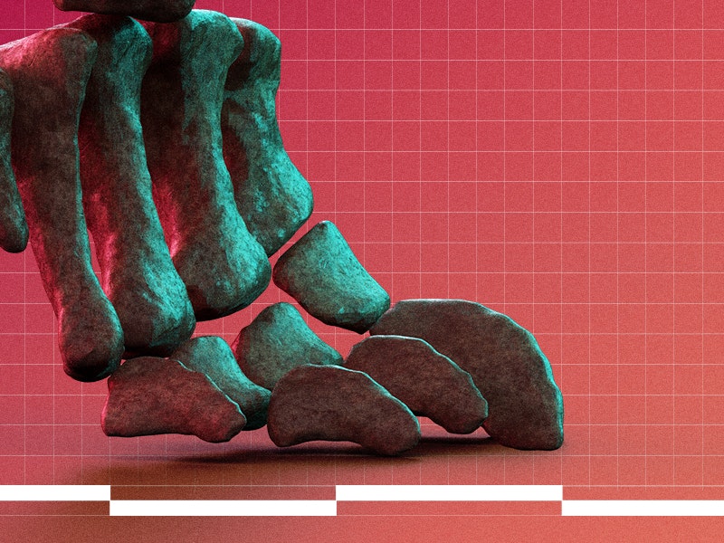 Courtesy of Museo Paleontológico Egidio Feruglio (MEF) web-800x600_no-numbers.jpg