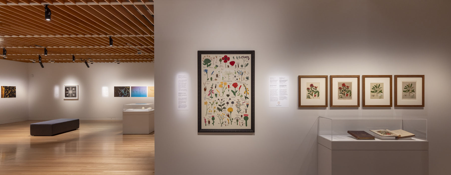 Exhibition view showing a large painting on the wall in the centre, and four smaller paintings beside it on the right