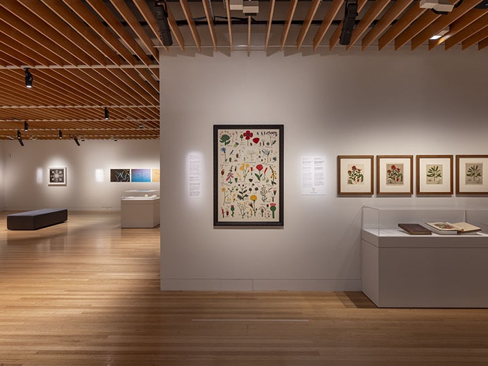 Arranging Nature exhibition view, showing Ayesha Green’s Wild Flowers (Things that grow), 2019 and a selection of works by Sarah Featon, 2023. Te Papa (236082) Exhibition view showing a large painting on the wall in the centre, and four smaller paintings beside it on the right