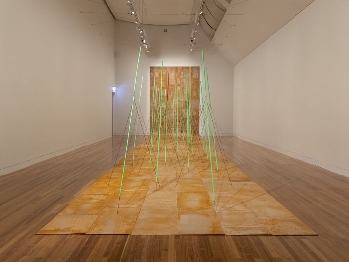 Pauline Rhodes, Extensum/Extensor, 1982, paper, wood, steel, plastic, and paint. Purchased 1983 with New Zealand Lottery Board funds. Te Papa (1983-0082-1) Installation view of the artwork “Extensum/Extensor”. It comprises of a long sheet of rusted paper which hangs from the ceiling and rolls out across the floor. On the floor part of the paper, thins rods in floor green stick out, like hairs