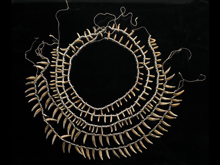 Necklaces, Solomon Islands (made from rodent, canine and dolphin teeth. Maker unknown. Te Papa, FE003816 Necklaces made from rodent, canine and dolphin teeth in circles inside each other on a black background.