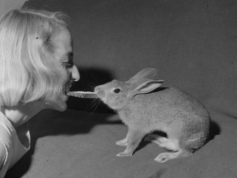 Vivienne Lee-Johnson and Rabbit, Northland, March 1958, New Zealand, by Eric Lee-Johnson. Te Papa (F.005882) A woman with a rabbit, they are playing tug-of-war with a piece of toast