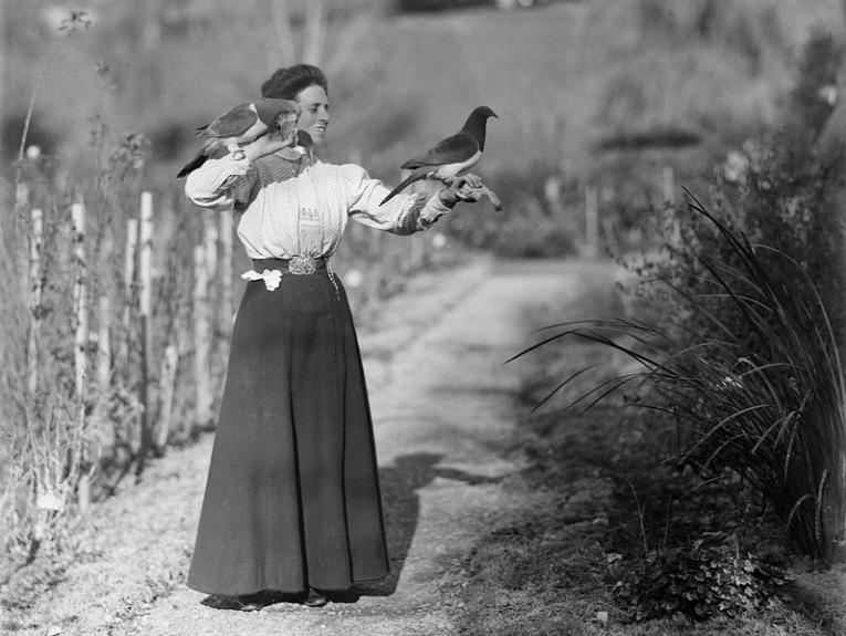 A woman with two kererū perched on her hands