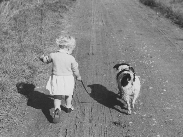Joanna Johnson and dog on country road, England, about 1937, by Eric Lee-Johnson. CC BY-NC-ND 4.0. Te Papa (O.009567) A little girl walks down a dirt road with a dog by her side