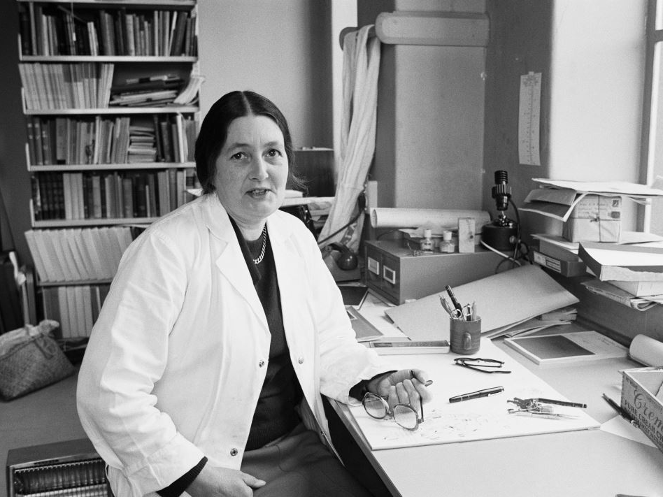 Nancy Adams – National Museum staff portrait, August 1976. Photograph by Trevor Ulyatt. Te Papa (MA_E.000345/031) A black and white photo of a woman in a white coat sitting at a desk and looking at the camera.