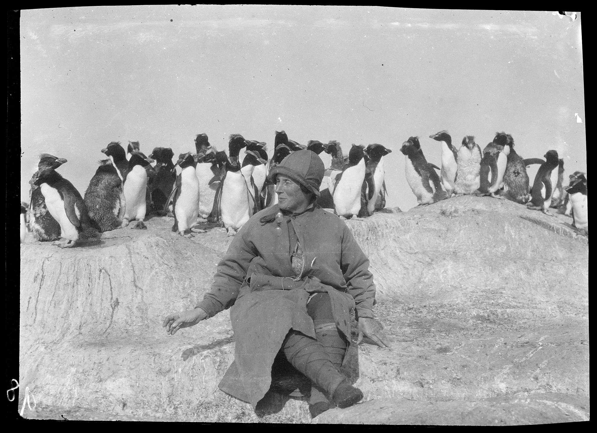 A woman in warm clothing is sitting in front of several penguins.