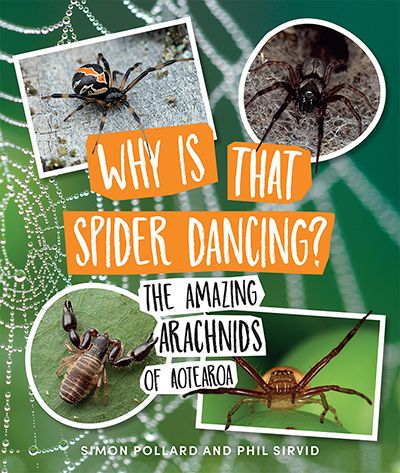 Why is that Spider Dancing?