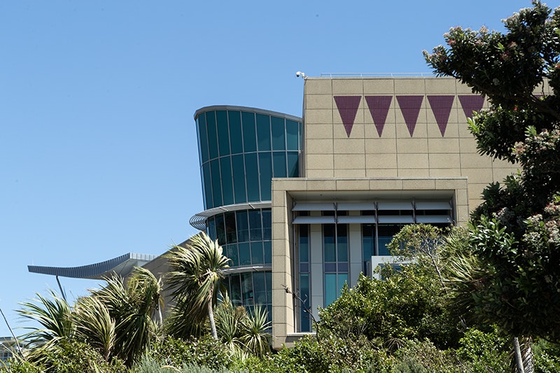 View of Te Papa Tongarewa surrounded by trees on a sunny day