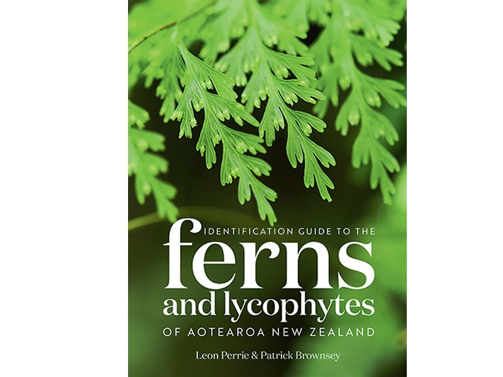Identification Guide to the Ferns and Lycophytes of Aotearoa New Zealand Cover image for Identification Guide to the Ferns and Lycophytes of Aotearoa New Zealand