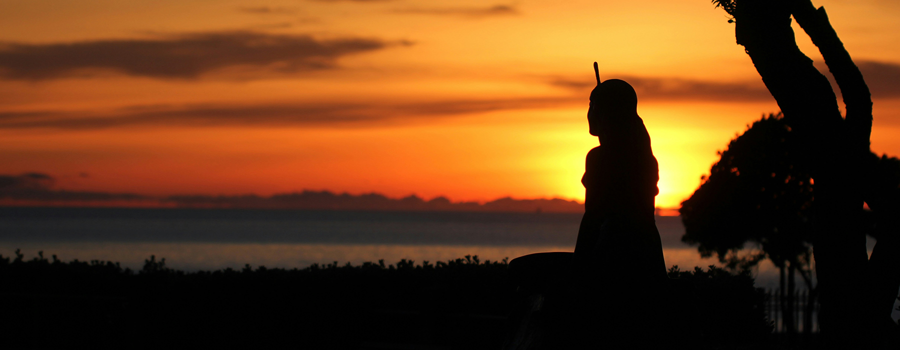 A silhouette of a person standing next to a tree with the sun setting..