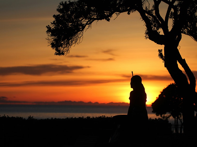 A silhouette of a person standing next to a tree. Photo by Sandy Millar on Unsplash A silhouette of a person standing next to a tree with the sun setting..