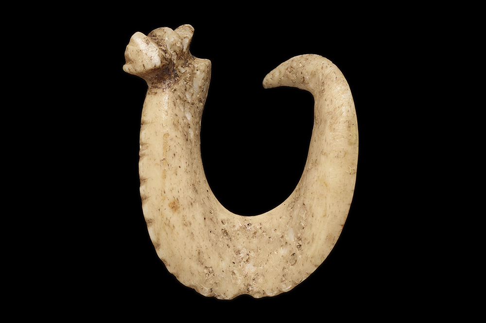 A bone carving of a fish hook on black background.