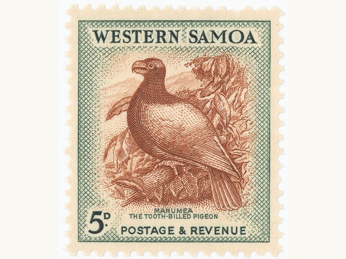 Issued five penny Western Samoa ‘Manumea, the Tooth-billed Pigeon’ stamp in brown and deep green, 1952, printed by Bradbury, Wilkinson & Co. Ltd., London. Gifted 1992 by New Zealand Post Ltd. Te Papa (PH002707) A postage stamp with an etching of a bird sitting in a tree and the words Western Sāmoa, 5d, Manumea the tooth-billed pigeon. Postage & revenue.