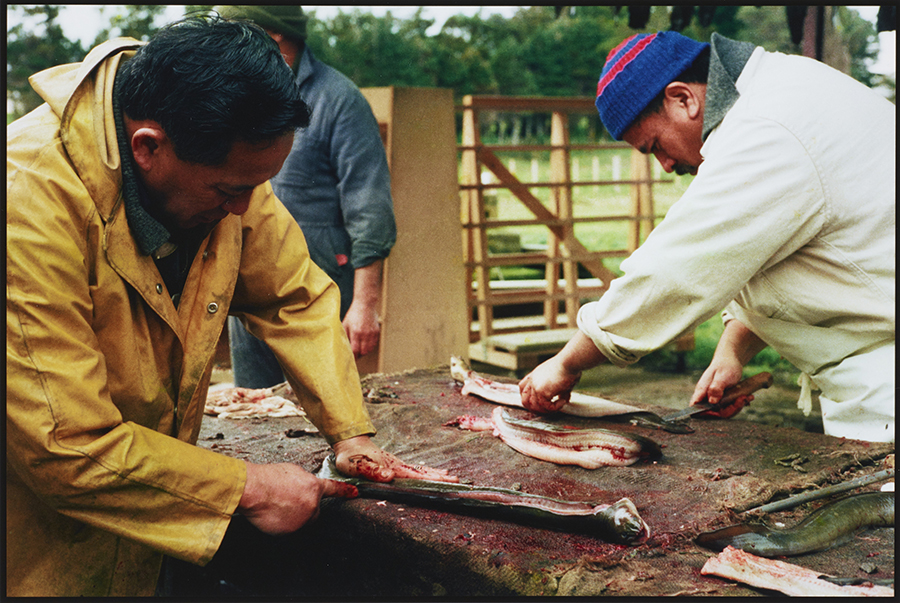 Two men are outside working on a table where they are carving up eels.