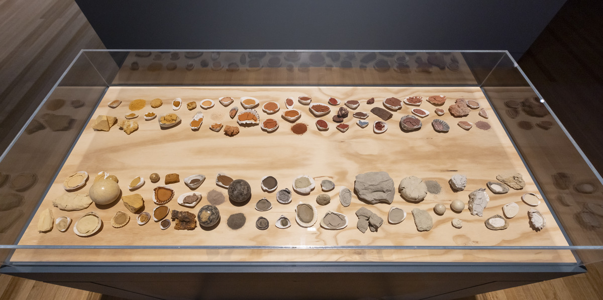 A view of a wooden case with a clear case on top. In the case are several shells lined up each with different coloured pigments in them.