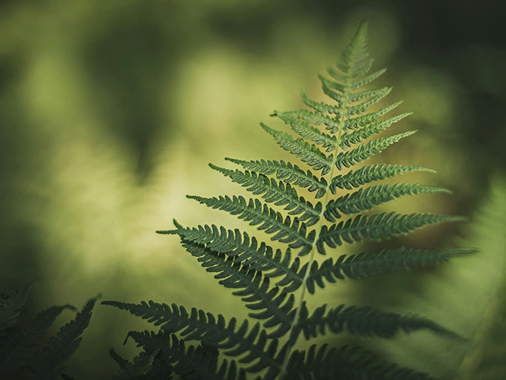 Photo by Marek Piwnicki. Unsplash