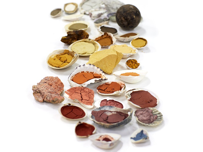 A collection of whenua (earth) pigments by Kauae Raro Research Collective, 2023. Several shells with different coloured earth pigments and powders in them on a white surface