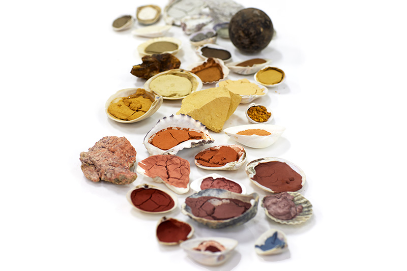 Several shells with different coloured earth pigments and powders in them on a white surface