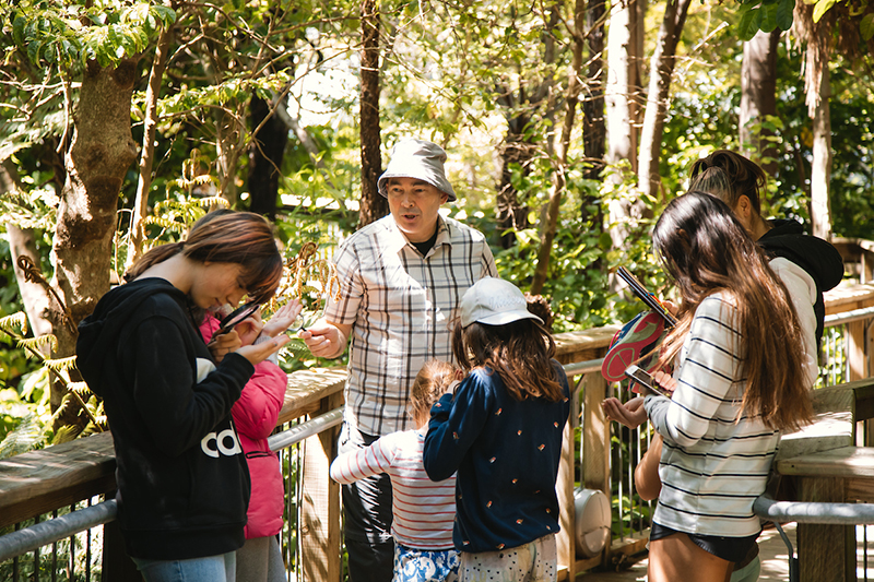 A man in a hat is talking to some children while standing on a bridge in a forest.