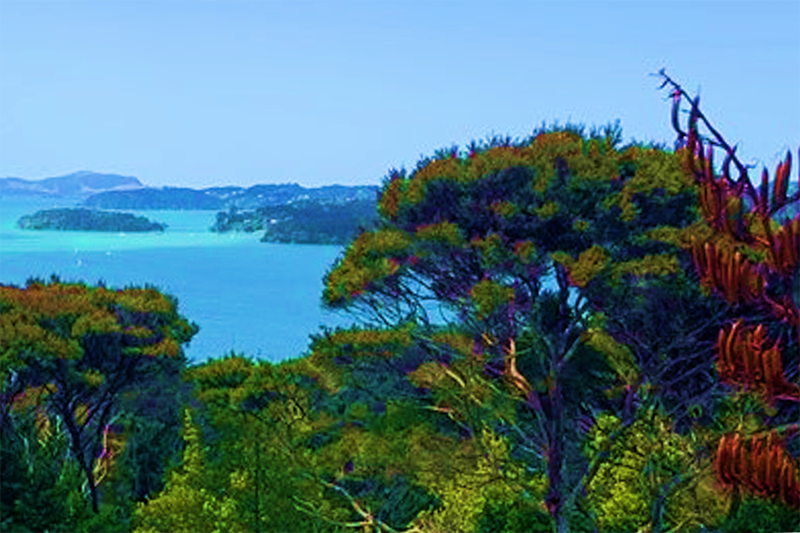 A stylised photo of an inlet surrounded by bush.