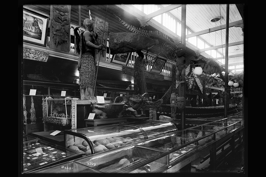 A black and white photo of the inside of a museum with a lot of collection items jammed into the space.