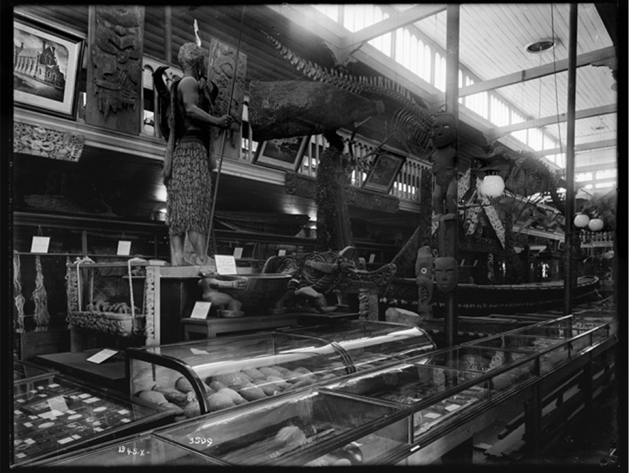 Old Dominion Museum, interior view of the Main Hall, about 1910. Te Papa (MA_C.001050) A black and white photo of a museum with everything jammed in together.