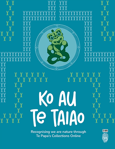 Cover image for Ko au te taiao